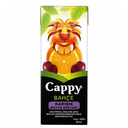 Cappy 200ml karısık