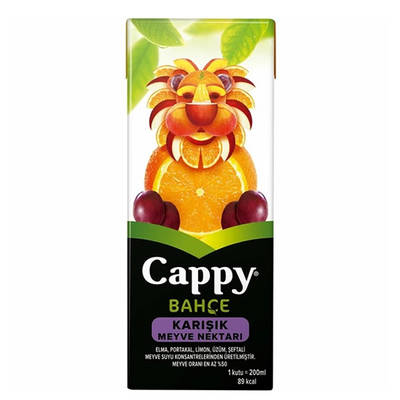 Cappy karısık meyve nektarı 200ml - 1