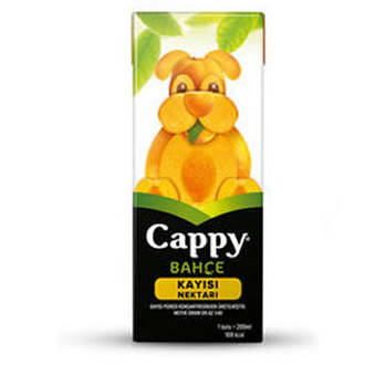 Cappy kayısı nektarı 200ml - 1