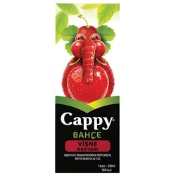 Cappy vısne nektarı 200ml