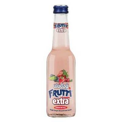 Uludag fruttı extra 250ml or.meyve - 1