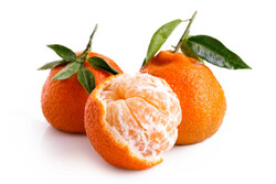 Mandalına (satsuma)