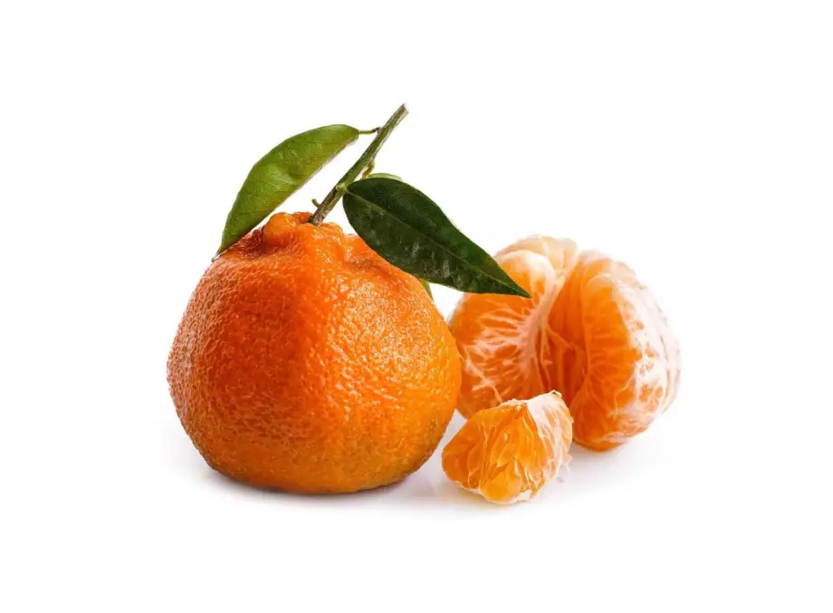 Mandalına (satsuma)