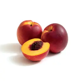 Nektari - 1